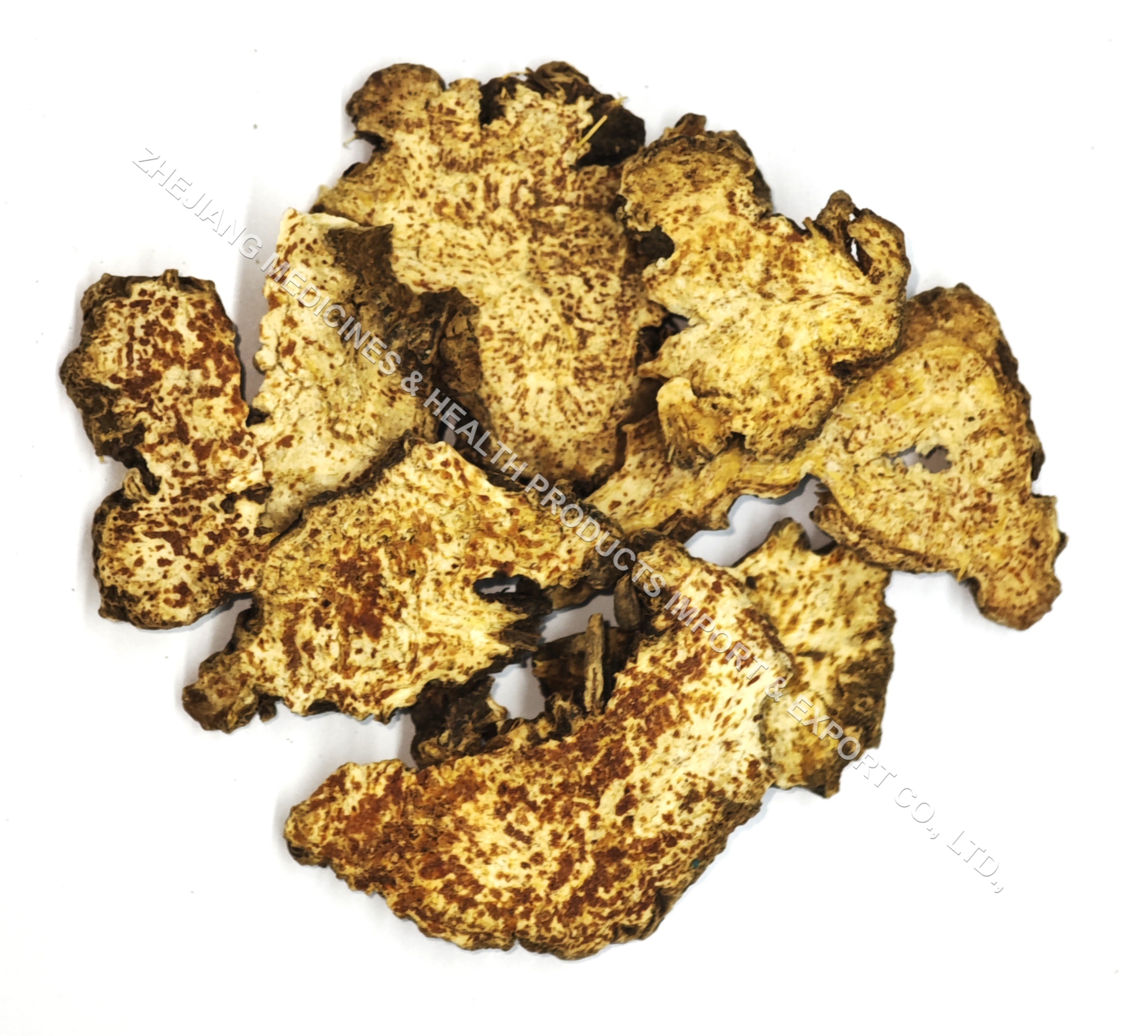 蒼術-Atractylodis Rhizoma.jpg